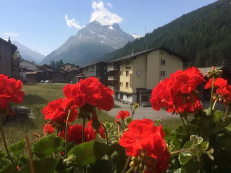 Enzian, Appartement 5 personnes à Saas Grund - Photo 22