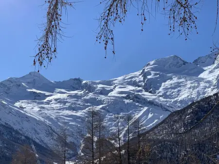 Enzian, Appartement 5 personnes à Saas Grund - Photo 91