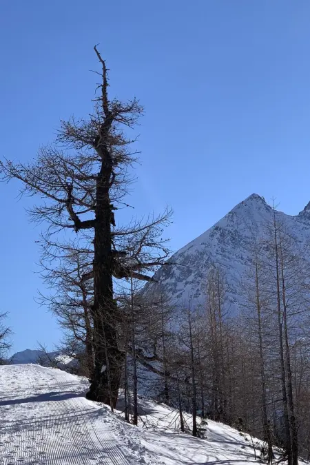 Enzian, Appartement 5 personnes à Saas Grund - Photo 93
