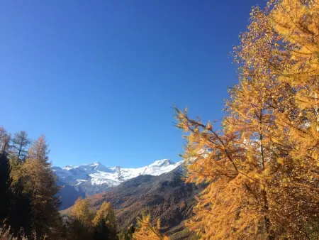 Enzian, Appartement 5 personnes à Saas Grund - Photo 101