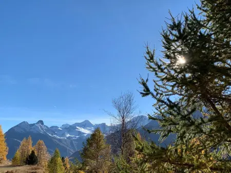 Enzian, Appartement 5 personnes à Saas Grund - Photo 105