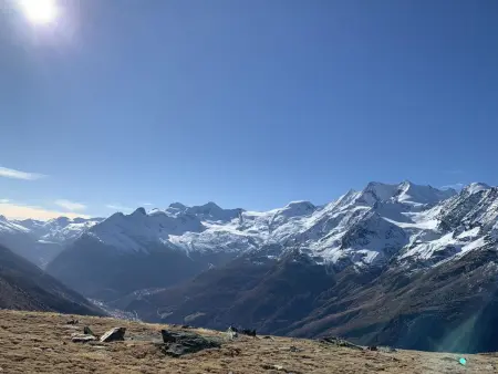 Enzian, Appartement 5 personnes à Saas Grund - Photo 106