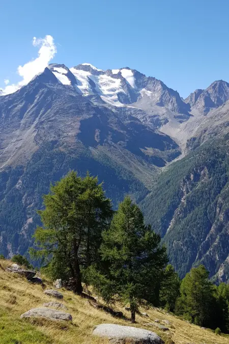 Saasunia, Appartement 5 personnes à Saas Grund - Photo 6