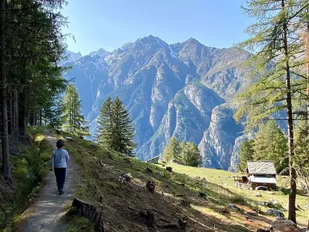 Chalet Jungtalblick Chilcheri, Appartement 6 personnes à Grächen - Photo 25
