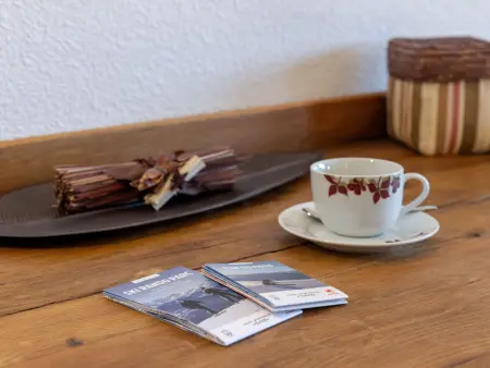 Lisière-Sud A 17, Appartement 4 personnes à Crans Montana - Photo 8