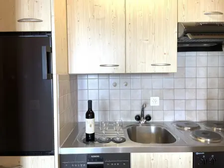 Konkordia 1 EG Süd, Appartement 4 personnes à Bettmeralp - Photo 19