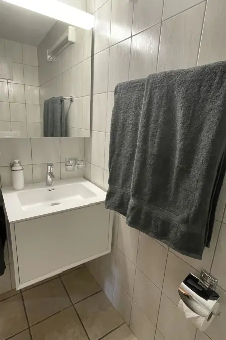 Konkordia 1 EG Süd, Appartement 4 personnes à Bettmeralp - Photo 22