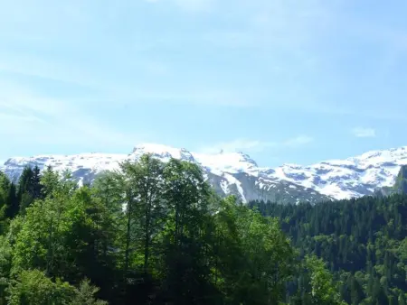 Sattelboden 4, Appartement 4 personnes à Engelberg - Photo 12