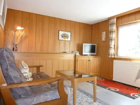 Sattelboden 4, Appartement 4 personnes à Engelberg - Photo 16