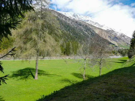 Cà Bias, Appartement 2 personnes à Campo Blenio - Photo 12