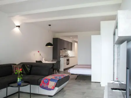 Lake-View cosy, Appartement 3 personnes à Aldesago - Photo 13
