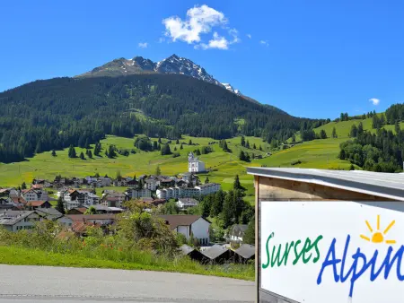 Surses Alpin, Appartement 6 personnes à Savognin - Photo 15