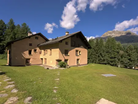 Chesa Seglias 6, Appartement 4 personnes à Silvaplana Surlej - Photo 23