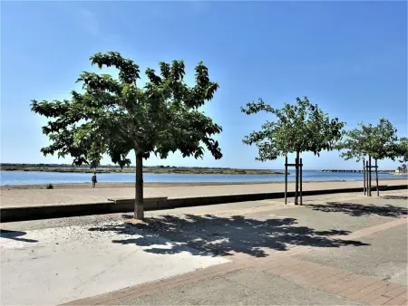 Les Portes de la Plage, Appartement 4 personnes à Gruissan - Photo 4