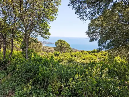 Le Jardin du Loderi, Appartement 4 personnes à Bormes les Mimosas - Photo 21