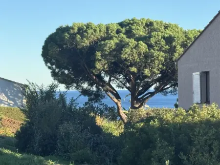 Les Coteaux de la Nartelle, Appartement 4 personnes à Sainte Maxime - Photo 17