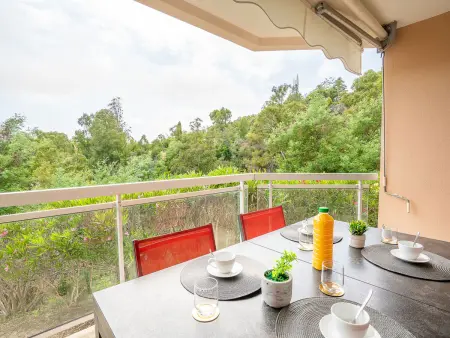 La Croix des Gardes, Appartement 4 personnes à Cannes - Photo 17