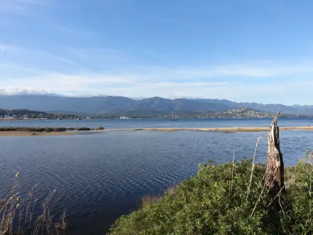 Paoli, Appartement 4 personnes à Porto Vecchio - Photo 11