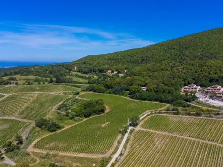 Poggio di Nocola, Appartement 4 personnes à Riparbella - Photo 19