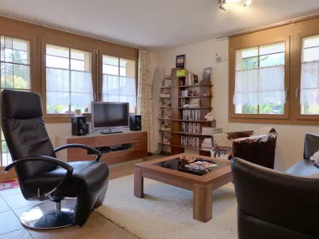 Laerchehus West, Appartement 4 personnes à Kandersteg - Photo 2