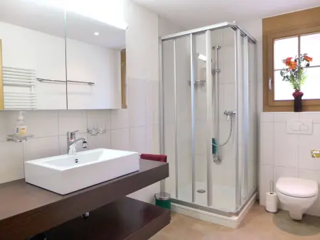 Laerchehus West, Appartement 4 personnes à Kandersteg - Photo 15