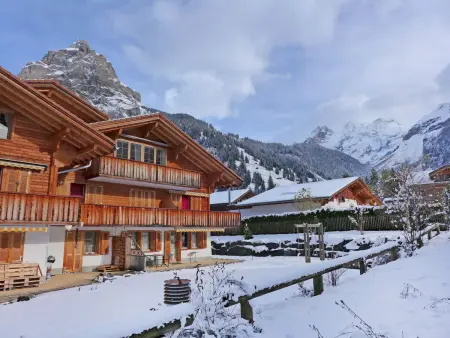 Laerchehus West, Appartement 4 personnes à Kandersteg - Photo 23