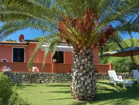 Villa Franca, Appartement 3 personnes à Capoliveri - Photo 8