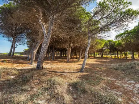 Pompia, Appartement 5 personnes à La Caletta - Photo 21