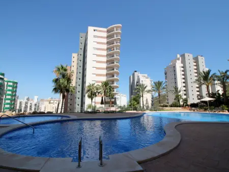 Torre Maestral, Appartement 4 personnes à Benidorm - Photo 10