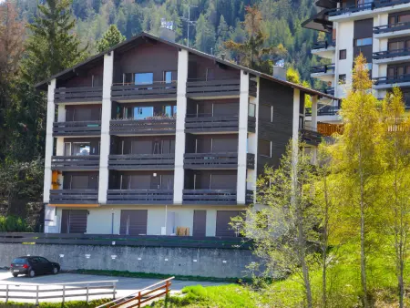 Prameiraz 10, Appartement 6 personnes à Nendaz - Photo 32