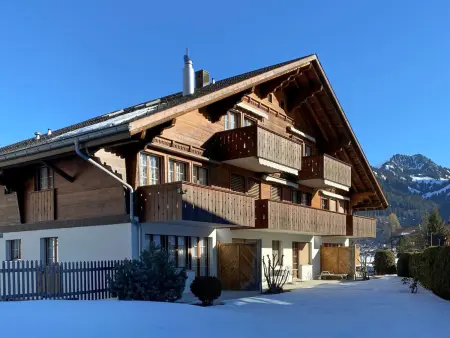 Chalet Simmental P-3, Appartement 4 personnes à Zweisimmen - Photo 1