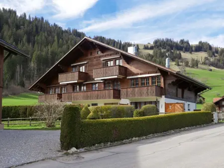 Chalet Simmental P-3, Appartement 4 personnes à Zweisimmen - Photo 21
