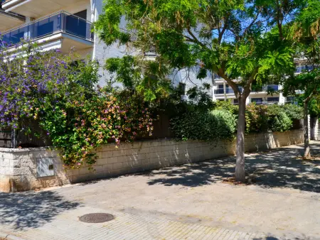 Vila del Far, Appartement 4 personnes à St Carles de la Ràpita - Photo 25