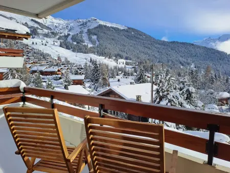 Courtillière 8, Appartement 4 personnes à Verbier - Photo 24