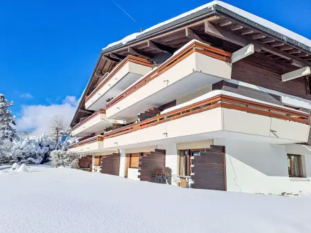 Courtillière 8, Appartement 4 personnes à Verbier - Photo 25