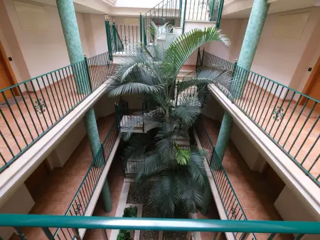 Golden Beach, Appartement 3 personnes à St Carles de la Ràpita - Photo 21