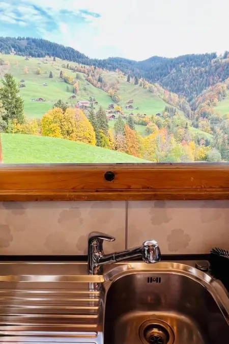 Serviced Apartment Chalet Bärgblüml i Ha, Appartement 8 personnes à Habkern - Photo 14