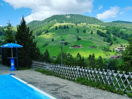 Serviced Apartment Chalet Bärgblüml i Ha, Appartement 8 personnes à Habkern - Photo 42