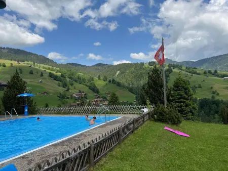 Serviced Apartment Chalet Bärgblüml i Ha, Appartement 8 personnes à Habkern - Photo 83