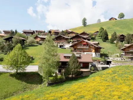 Serviced Apartment Chalet Bärgblüml i Ha, Appartement 8 personnes à Habkern - Photo 88