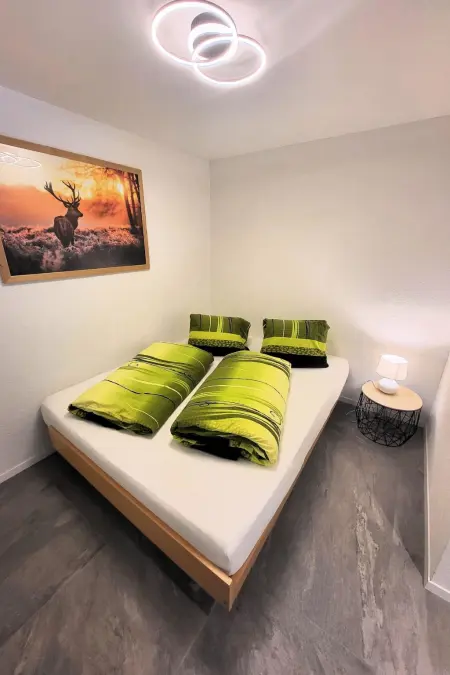 Lilo/Studio, Appartement 3 personnes à Beatenberg - Photo 2