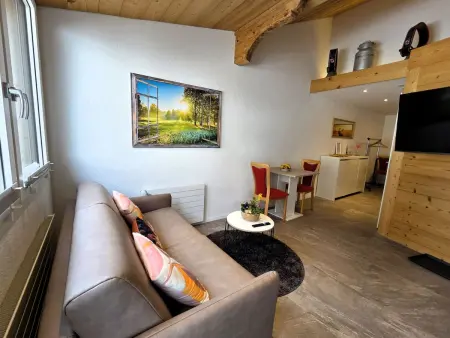 Lilo/Studio, Appartement 3 personnes à Beatenberg - Photo 23