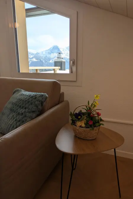 Lilo/2-Zimmer, Appartement 3 personnes à Beatenberg - Photo 37