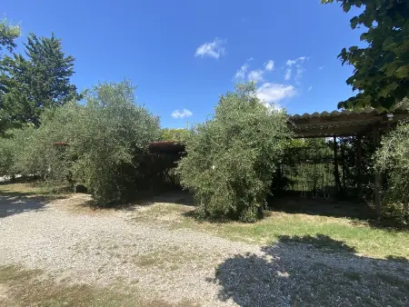 Levante, Appartement 4 personnes à Marina di Bibbona - Photo 47