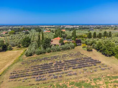 Tramontana, Appartement 4 personnes à Marina di Bibbona - Photo 1