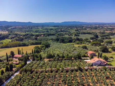 Tramontana, Appartement 4 personnes à Marina di Bibbona - Photo 49
