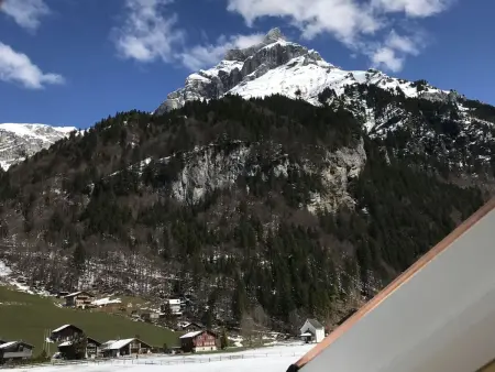 Hostattstrasse 20, Appartement 4 personnes à Engelberg - Photo 24