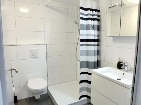 Henry's 300, Appartement 5 personnes à Interlaken - Photo 12