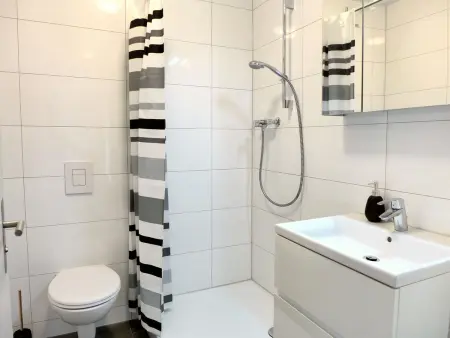 Henry's 100, Appartement 6 personnes à Interlaken - Photo 12