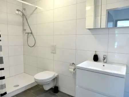 Henry's 100, Appartement 6 personnes à Interlaken - Photo 15